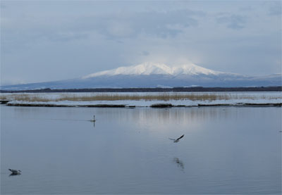 TofutsukoSharidake